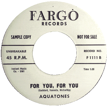 Aquatones - For You For You Promo 1111