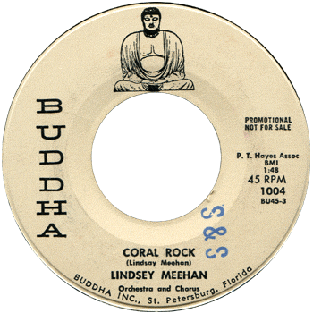 Linsay Meehan - Coral Rock
