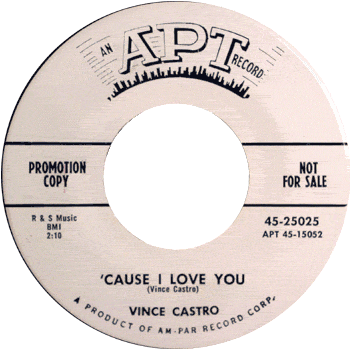Vince Castro - Cause I Love You Apt Promo 1