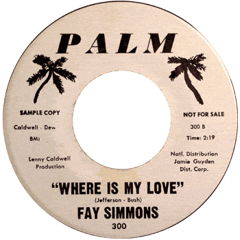 Fay Simmons -Where Is My Love Palm Promo
